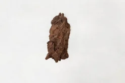 Hot AQUAVIE Décor pour aquarium coloris marron racine Mangrove MS - 25 à 40 cm