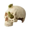 Best AQUAVIE Décor pour terrarium en synthétique coloris blanc crâne et grenouilles - 16,5 x 12 x 13 cm