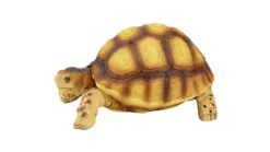 TERRATLANTIS Décoration pour terrarium coloris marron en résine figurine tortue terrestre - 10 x 6,5 x 5 cm