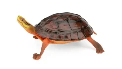 Best TERRATLANTIS Décoration pour terrarium coloris marron en résine figurine tortue - 16,9 x 11,5 x 7 cm