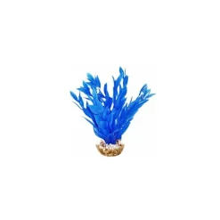 Online LABEO Dracaena bleu en plastique 13 cm