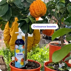 Outlet BLEEN Engrais agrumes liquide naturel - 450 mL