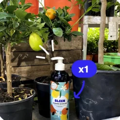 Outlet BLEEN Engrais agrumes liquide naturel - 450 mL