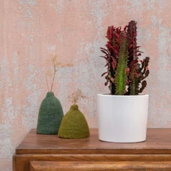 Outlet BOTANIC® Euphorbia hermentiana rubra en pot blanc émaillé H 10 x Ø 15 cm