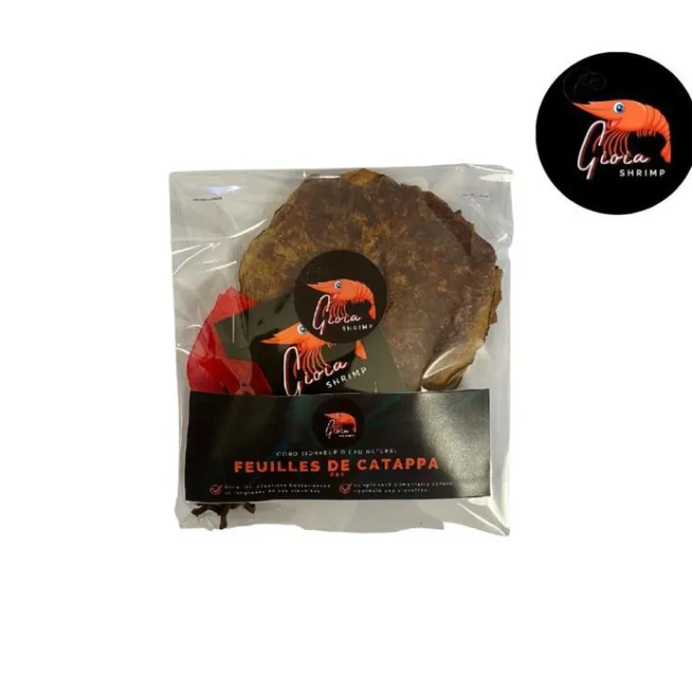 GIOIASHRIMP Feuilles de catappa pour les crevettes d'aquarium – sachet de 10