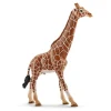 New SCHLEICH Figurine girafe mâle Série Animaux sauvages 12,7x4,4x17 cm