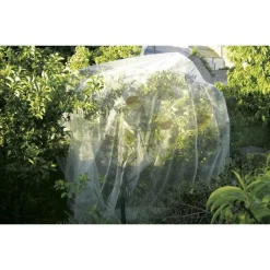 Clearance NORTENE Filet de protection anti-grêle pour fruits - 5,20 x 5 m