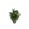 Clearance Fittonia vert plante artificielle en pot gris H 35 x Ø 25 cm