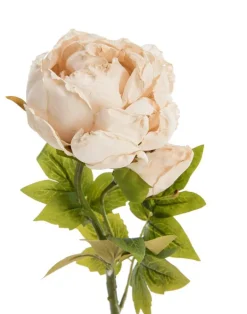 Clearance NATURALYS Fleur artificielle en papier tige de pivoine coloris beige - H 62 cm