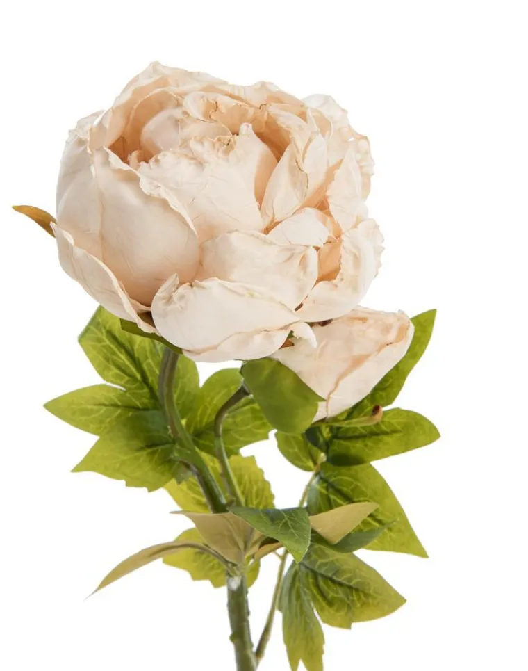 Clearance NATURALYS Fleur artificielle en papier tige de pivoine coloris beige - H 62 cm