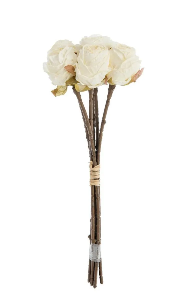 Best NATURALYS Fleur artificielle en papier 6 renoncules coloris beige - H 28