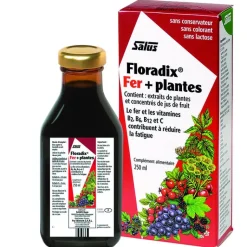 New SALUS Floradix fer + plantes formule liquide 250 ml