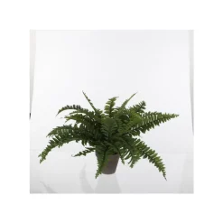 Online Fougère artificielle verte en pot gris H 42 x Ø 50 cm