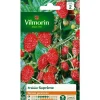 Online VILMORIN Fraisier Suprême - graines à semer