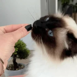 Sale MARLY & DAN Friandises pour chat tendres bouchées boules de poils - 40 g