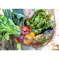 Hot BOTANIC® Fumier potager premium - 20 kg