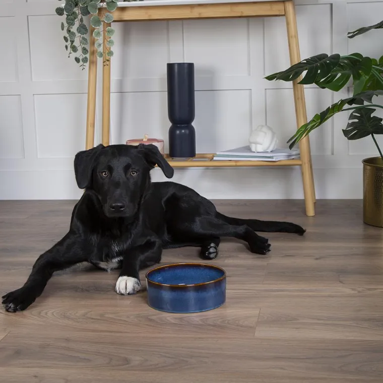 SCRUFFS Gamelle pour chien en grès coloris bleu nuit Reactive Glaze - 19 x 19 x 8 cm