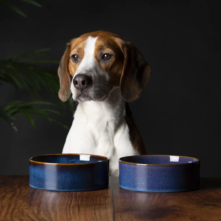 SCRUFFS Gamelle pour chien en grès coloris bleu nuit Reactive Glaze - 19 x 19 x 8 cm