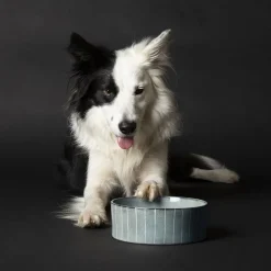 Clearance SCRUFFS Gamelle pour chien en grès coloris gris avec rayures Reactive Glaze - 19 x 19 x 8 cm