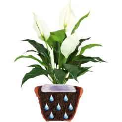 Best JARDIBRIC Gel d’arrosage Jardigel - 400 ml