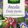Hot VILMORIN Graines d’Ancolie Étoile variée - graines à semer