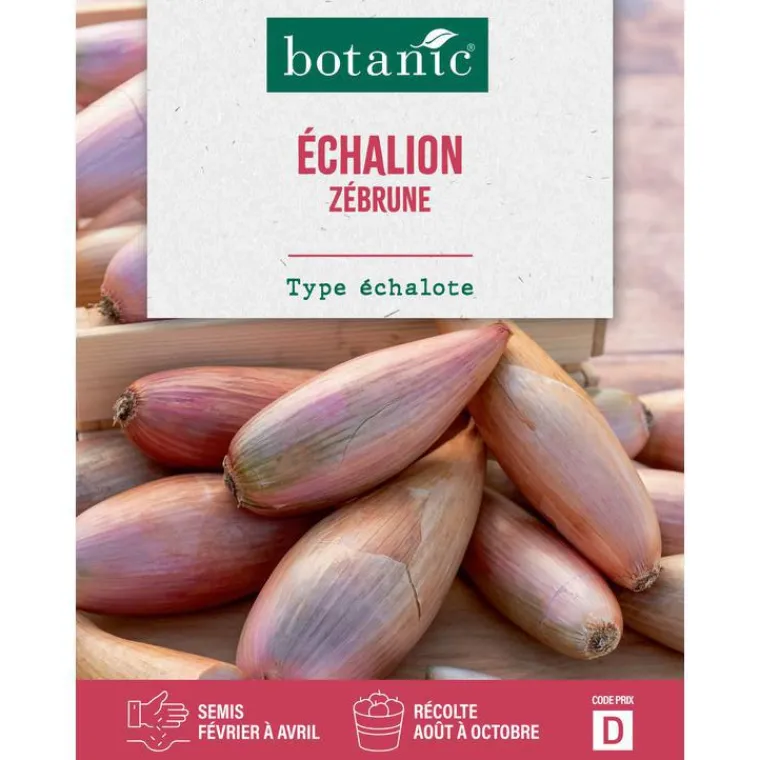 Outlet BOTANIC® Graines d'échalion zebrune - graines à semer