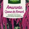 Hot VILMORIN Graines de Amarante Queue de Renard - graines à semer