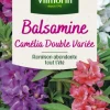 Sale VILMORIN Graines de Balsamine Camélia double variée - graines à semer