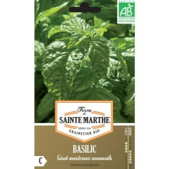 Clearance FERME DE SAINTE MARTHE Graines de basilic géant mammouth bio - graines à semer