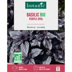 Best BOTANIC® Graines de Basilic purple opal bio - graines à semer
