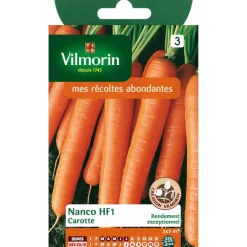 Online VILMORIN Graines de carotte nanco HF1 - graines à semer