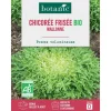 Best BOTANIC® Graines de chicorée frisée Walonne bio - graines à semer