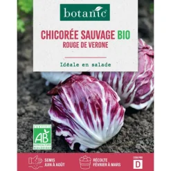 Discount BOTANIC® Graines de Chicorée sauvage rouge de Vérone bio - graines à semer