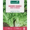 Online BOTANIC® Graines de chicorée scarole cornet de Bordeaux - graines à semer
