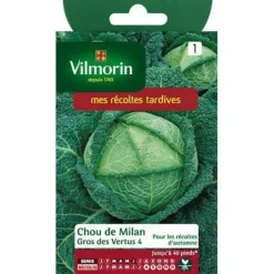 Discount VILMORIN Graines de chou de Milan gros des vertus - graines à semer