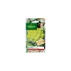VILMORIN Graines de Chou-fleur Romanesco précoce Légumes d’autrefois - graines à semer