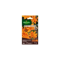 Clearance VILMORIN Graines de Cosmos Sulfureux Carioca orange graines d’exception - graines à semer