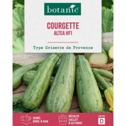 Outlet BOTANIC® Graines de courgette Altea HF1 - graines à semer