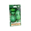 Outlet VILMORIN Graines de Courgette de Nice à fruit rond - graines à semer