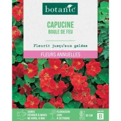 BOTANIC® Graines de fleurs Capucine boule de feu