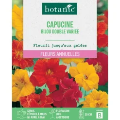 Best BOTANIC® Graines de fleurs de Capucine bijou double variée