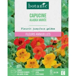 Hot BOTANIC® Graines de fleurs de Capucine Alaska variée