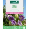 Hot BOTANIC® Graines de fleurs de Cobée grimpante