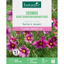 Sale BOTANIC® Graines de fleurs de Cosmos géant Sensation radiance rose