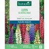 Clearance BOTANIC® Graines de fleurs de Lupin de Russel varié