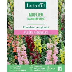 Clearance BOTANIC® Graines de fleurs de Muflier maximum varié
