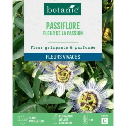 Discount BOTANIC® Graines de fleurs de Passiflore fleur de la passion