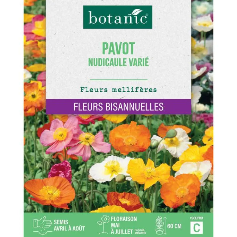 Discount BOTANIC® Graines de fleurs de Pavot nudicaule ou Pavot d'Islande varié