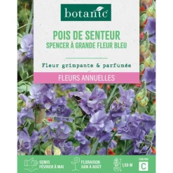 BOTANIC® Graines de fleurs de Pois de senteur spencer à grande fleur bleu