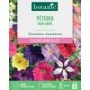 New BOTANIC® Graines de fleurs de Pétunia nain varié
